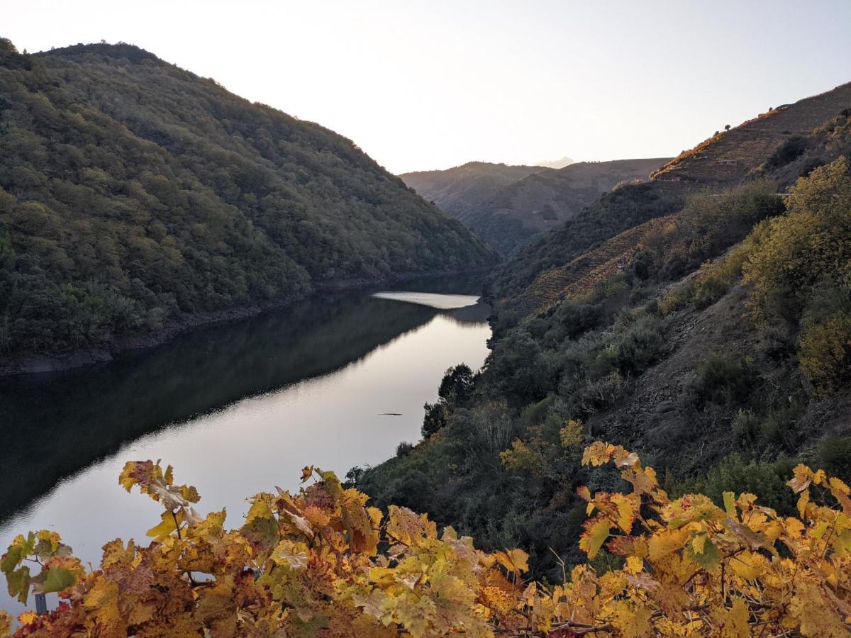 La Casita De La Ribeira Sacra Dom wakacyjny Monforte De Lemos